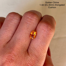 Load image into Gallery viewer, Persepolis Gemstone Signet Ring