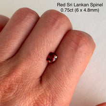 Load image into Gallery viewer, Persepolis Gemstone Signet Ring
