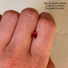 Load image into Gallery viewer, Persepolis Gemstone Signet Ring
