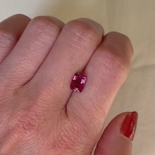 Load and play video in Gallery viewer, Persepolis Gemstone Signet Ring
