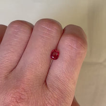 Load and play video in Gallery viewer, Persepolis Gemstone Signet Ring
