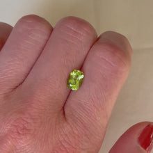 Load and play video in Gallery viewer, Persepolis Gemstone Signet Ring
