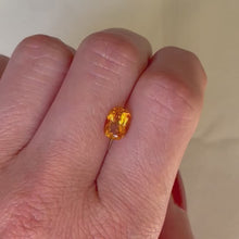 Load and play video in Gallery viewer, Persepolis Gemstone Signet Ring
