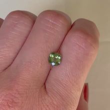 Load and play video in Gallery viewer, Persepolis Gemstone Signet Ring
