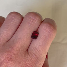 Load and play video in Gallery viewer, Persepolis Gemstone Signet Ring
