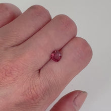 Load and play video in Gallery viewer, Persepolis Gemstone Signet Ring
